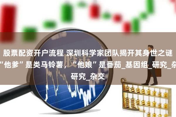 股票配资开户流程 深圳科学家团队揭开其身世之谜：“他爹”是类马铃薯，“他娘”是番茄_基因组_研究_杂交