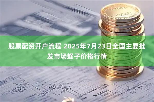 股票配资开户流程 2025年7月23日全国主要批发市场蛏子价格行情
